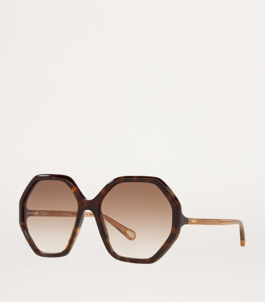 Chloe Acetate Esther Geometric Sunglasses